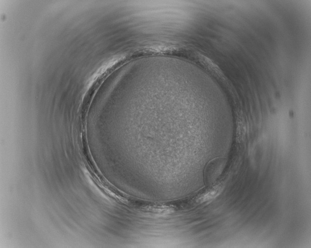 X0000052570443200507292010