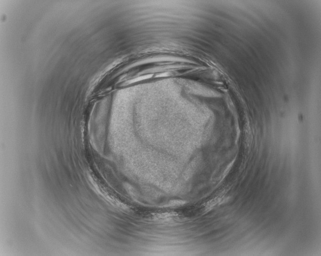 X0000052570446200507292010