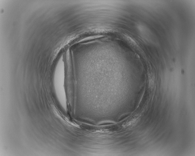 X0000052570447200507292010