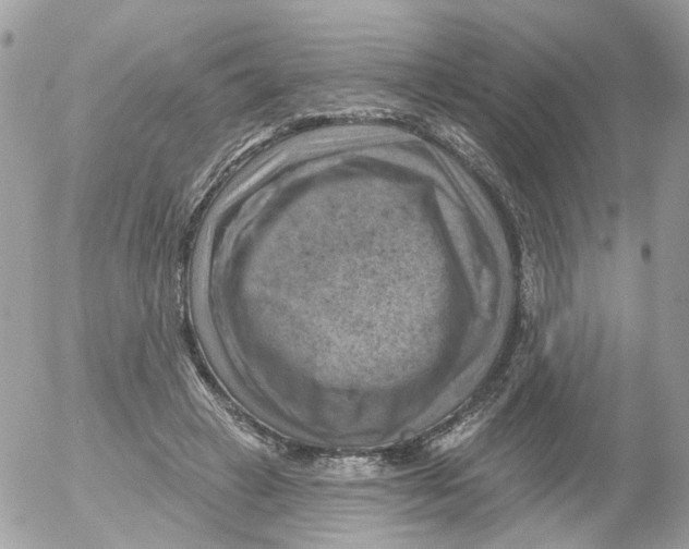 X0000052570449200507292010