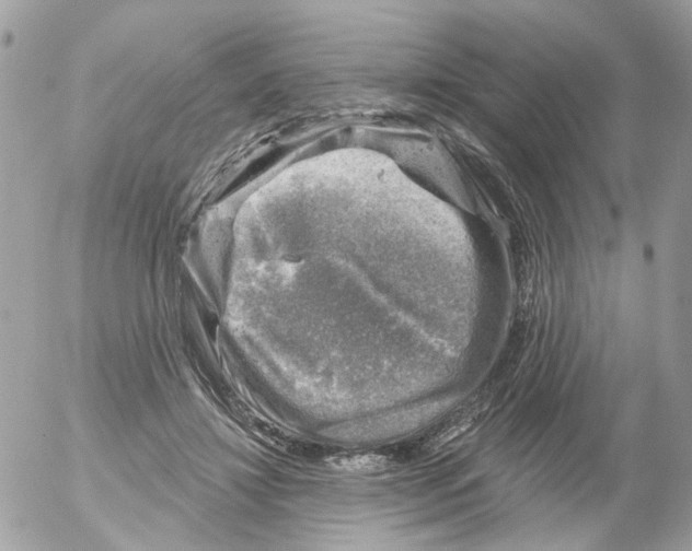 X0000052570452200507292010