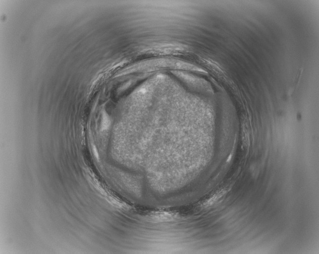 X0000052570453200507292010