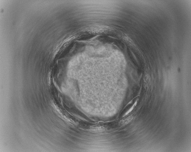 X0000052570454200507292011