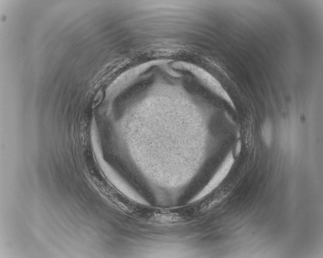 X0000052570455200507292011