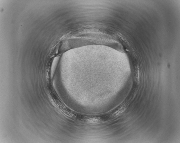 X0000052570456200507292011