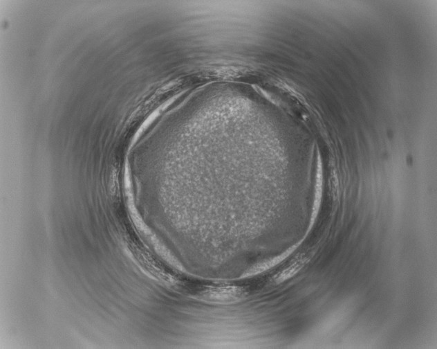 X0000052570459200507292011