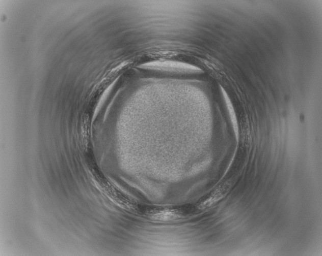 X0000052570460200507292011