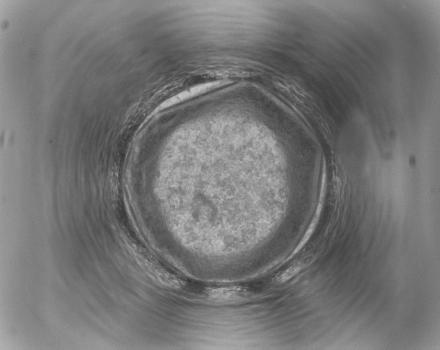 X0000052570461200507292011