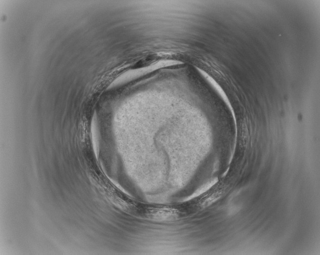 X0000052570463200507292011