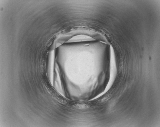 X0000052570464200507292011