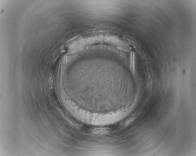 X0000052570465200507292011