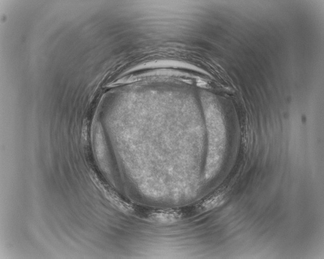 X0000052570466200507292011