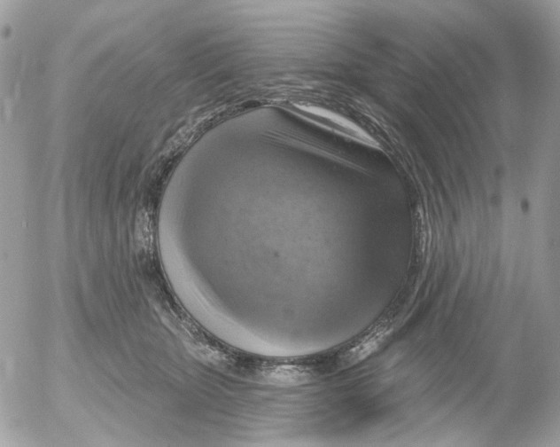 X0000052570467200507292011