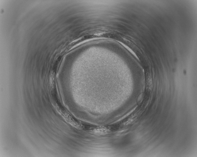 X0000052570468200507292011