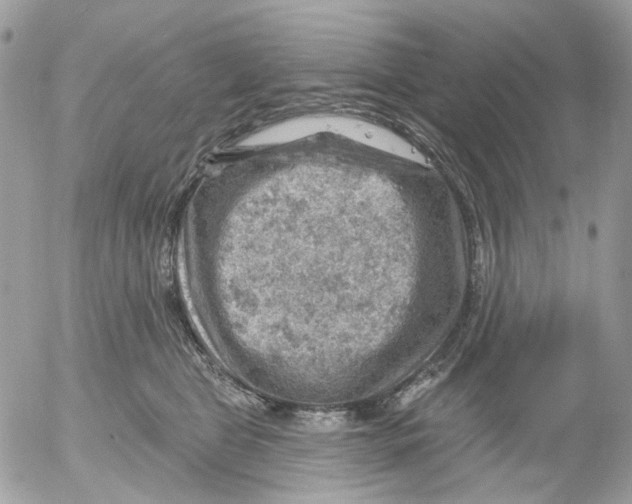 X0000052570469200507292011