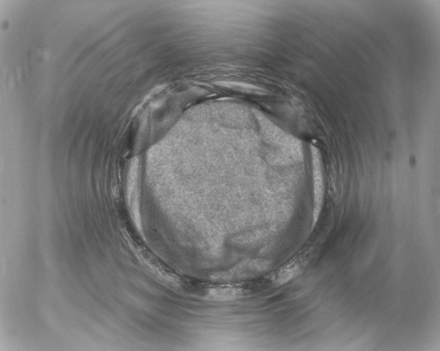 X0000052570470200507292011