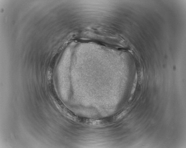 X0000052570472200507292011