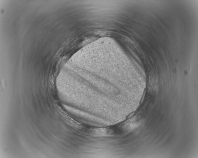 X0000052570473200507292011