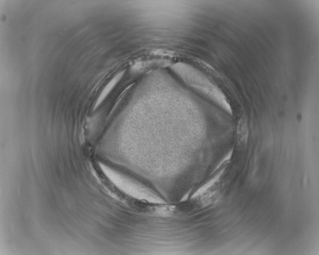 X0000052570474200507292011