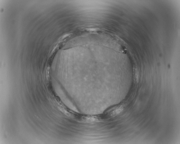 X0000052570475200507292011