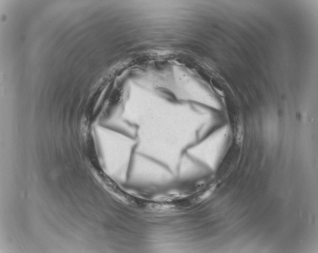 X0000052570476200507292011