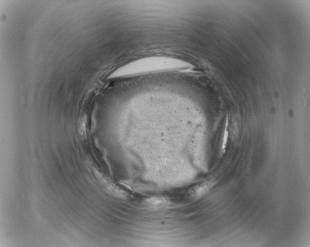 X0000052570477200507292011