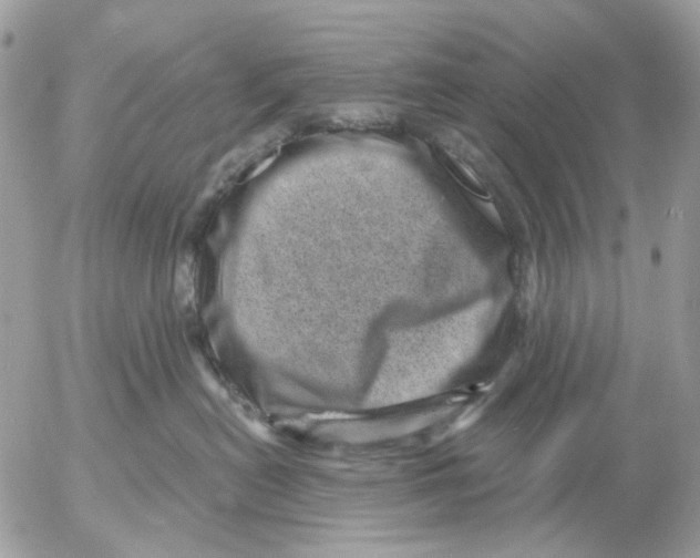 X0000052570478200507292011