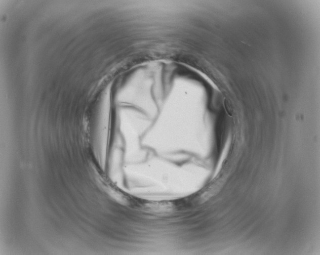 X0000052570480200507292011