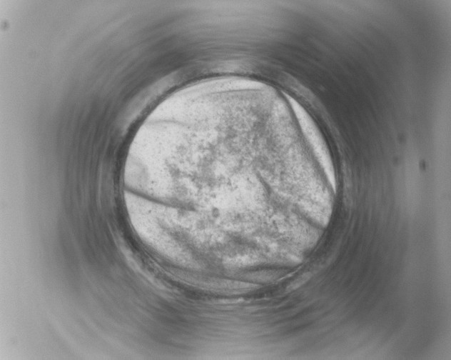 X0000052570482200507292010