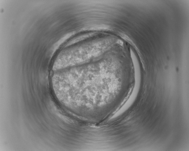 X0000052570483200507292010