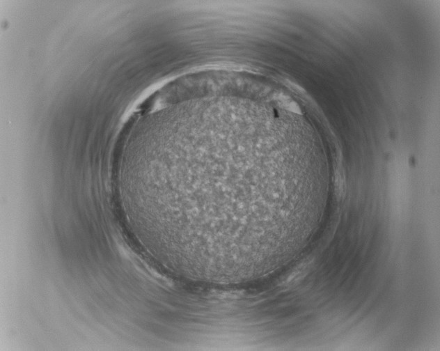 X0000052570484200507292010