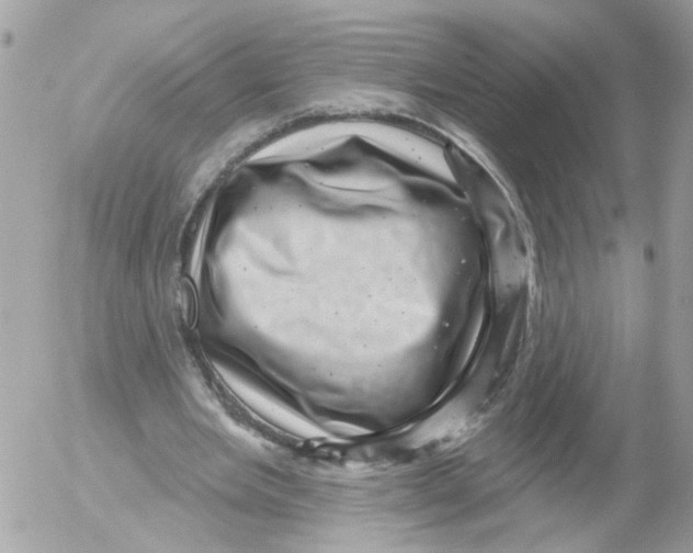 X0000052570485200507292010