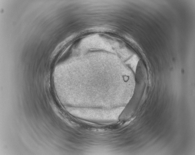 X0000052570486200507292010