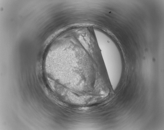 X0000052570487200507292010