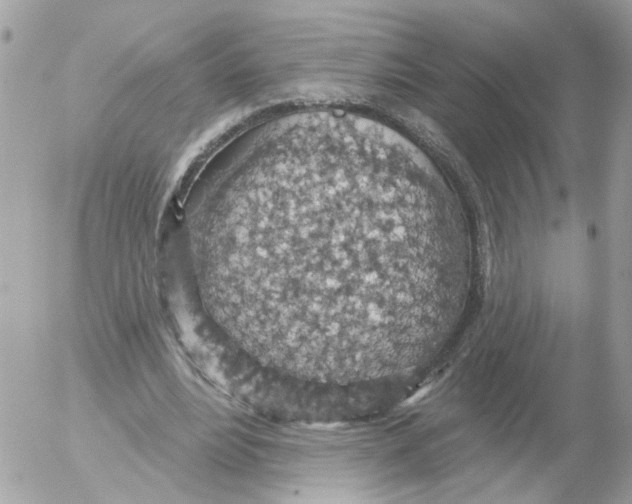 X0000052570488200507292010