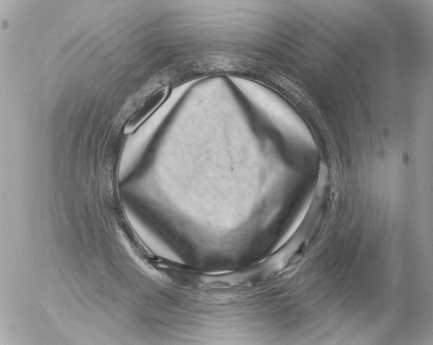 X0000052570489200507292010