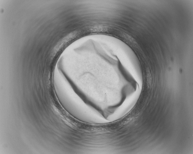 X0000052570490200507292010