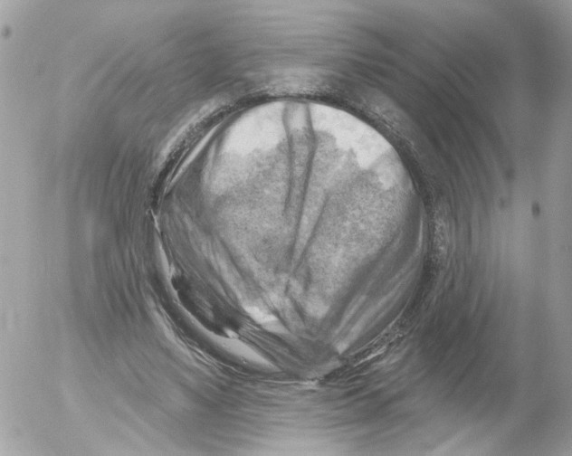 X0000052570491200507292010