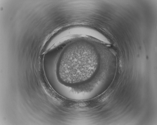 X0000052570492200507292010