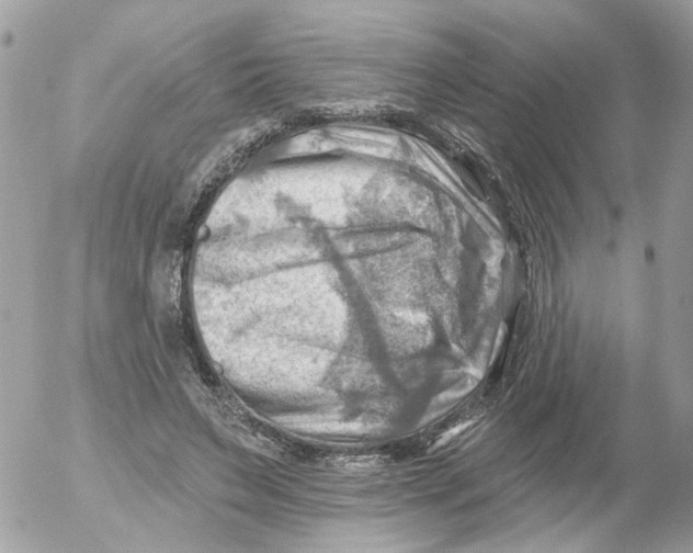 X0000052570495200507292010