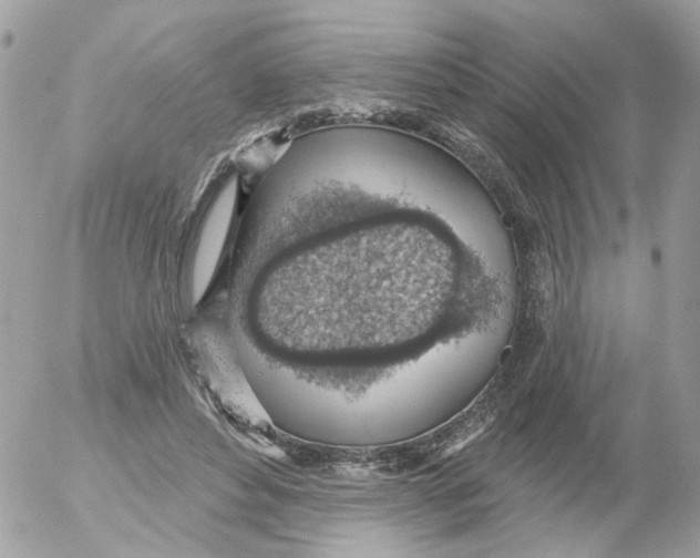 X0000052570496200507292010