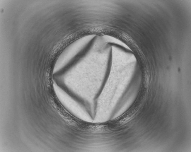 X0000052570497200507292010