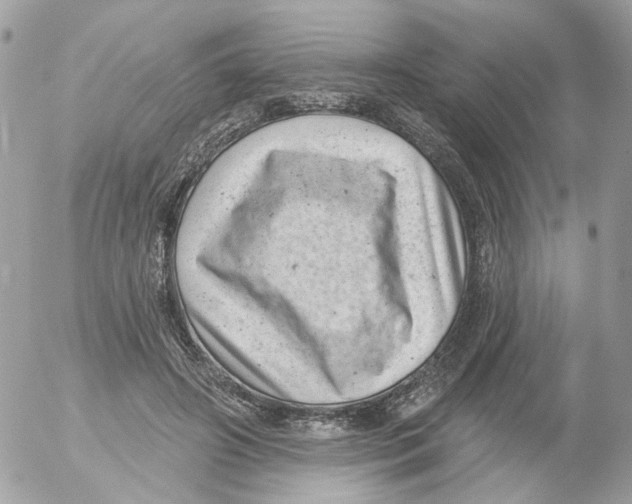 X0000052570498200507292010