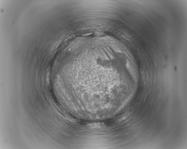 X0000052570499200507292010