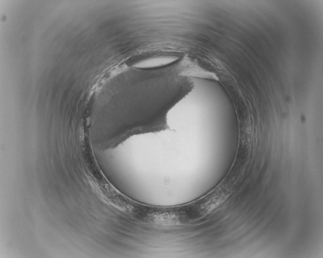 X0000052570500200507292010