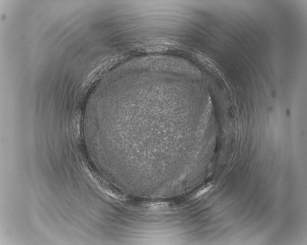 X0000052570501200507292010