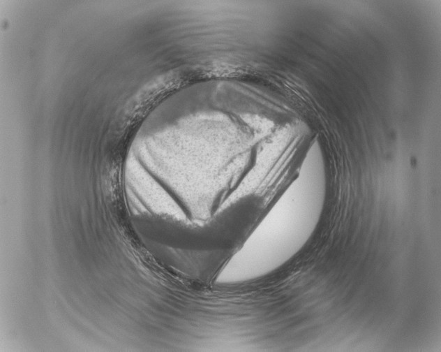 X0000052570503200507292010