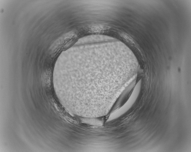 X0000052570505200507292010