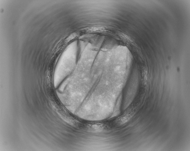 X0000052570506200507292010