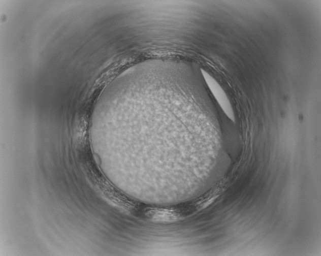 X0000052570507200507292010